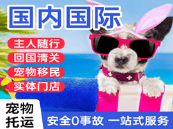 临汾机场快运国际宠物托运 【国